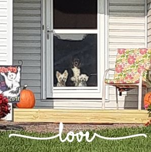 Meet your Posher, Sally